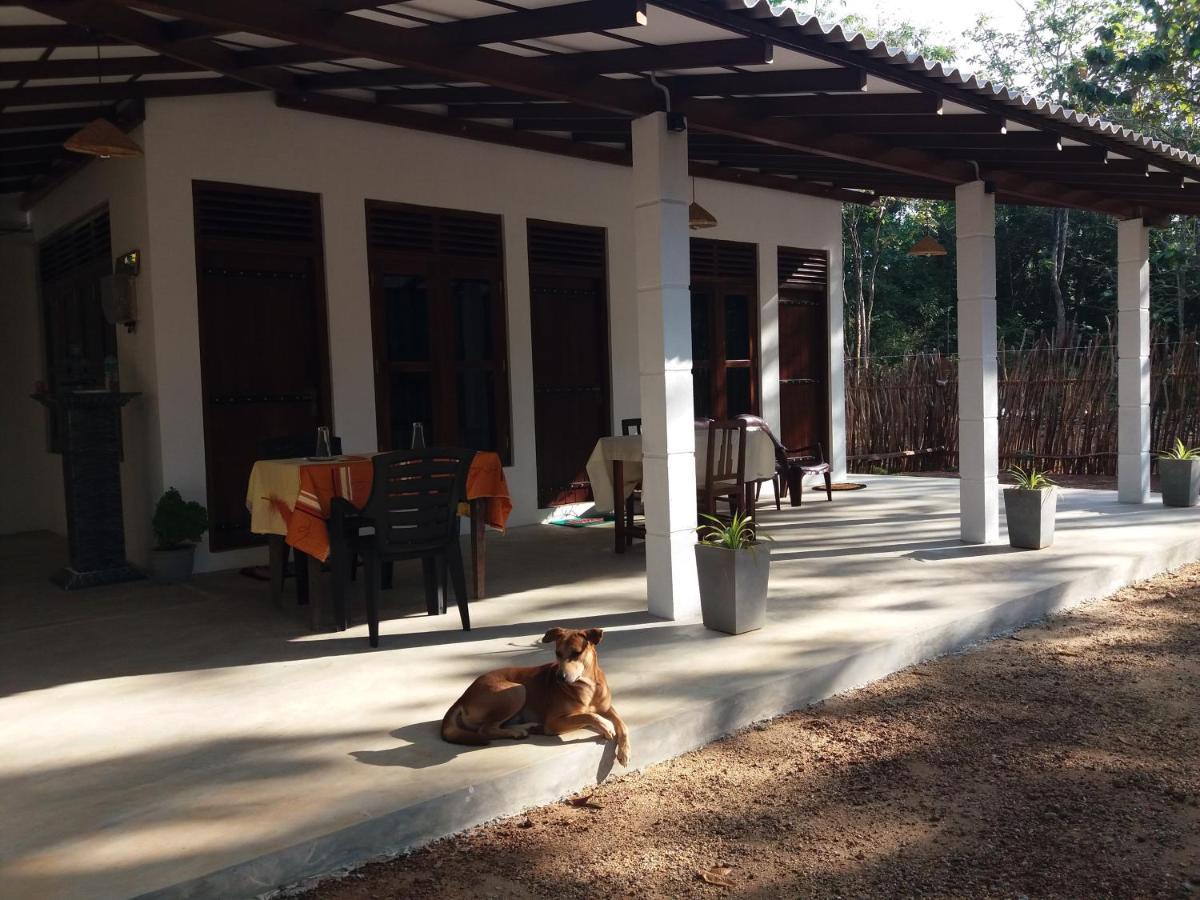 Cashew Villa Hiriketiya 디크웰라 외부 사진