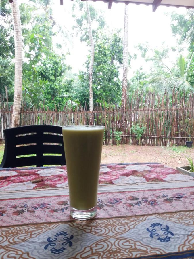 Cashew Villa Hiriketiya 디크웰라 외부 사진