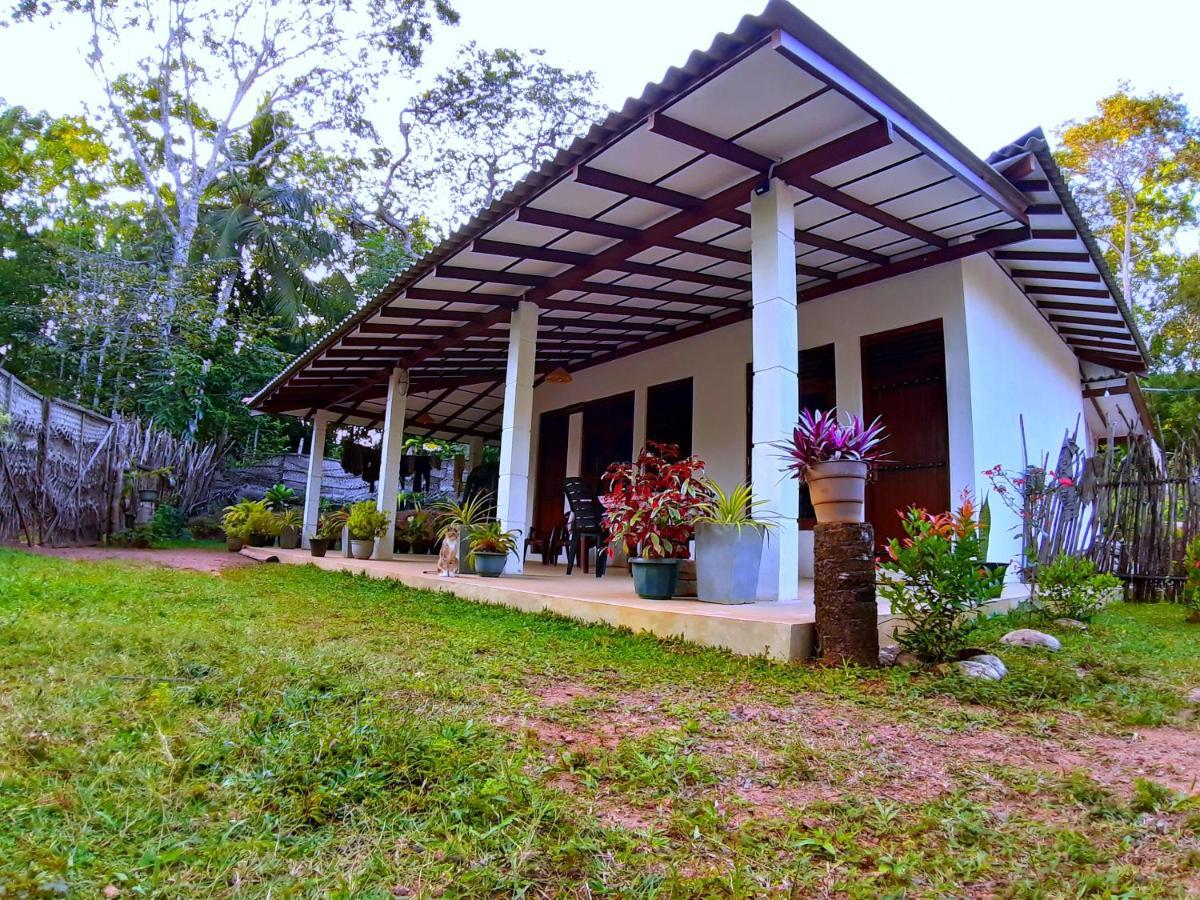 Cashew Villa Hiriketiya 디크웰라 외부 사진