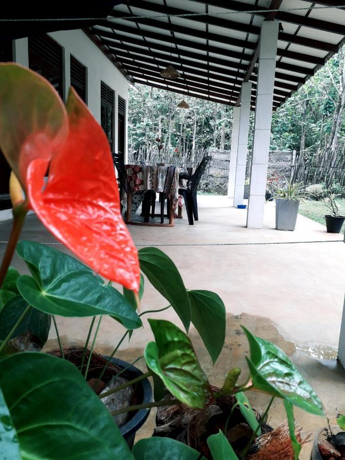 Cashew Villa Hiriketiya 디크웰라 외부 사진
