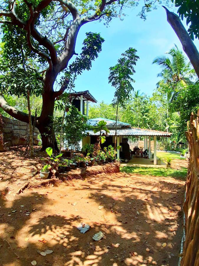 Cashew Villa Hiriketiya 디크웰라 외부 사진